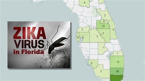 2nd case of Zika in the Keys is confirmed FL Keys News