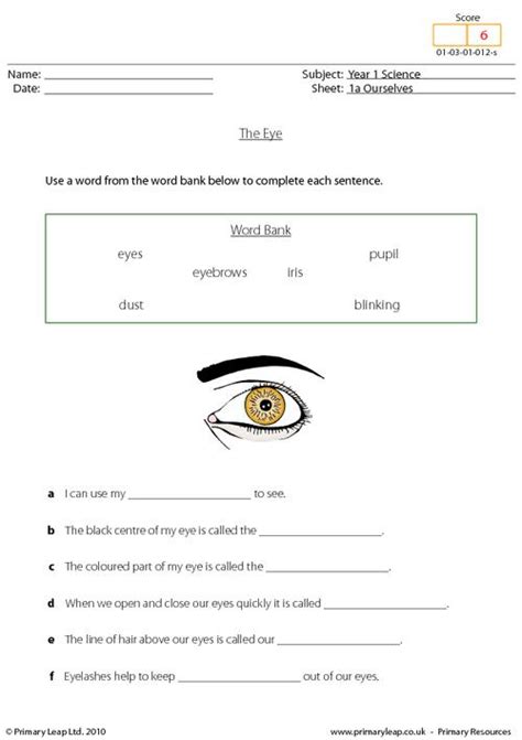 2nd Grade Geometry Worksheets Eye Worksheet 1st Grade - Eye Worksheet 1st Grade