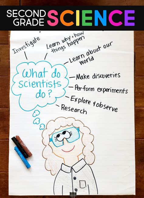2nd Grade Science Resources Tpt Science Second Grade Worksheet - Science Second Grade Worksheet
