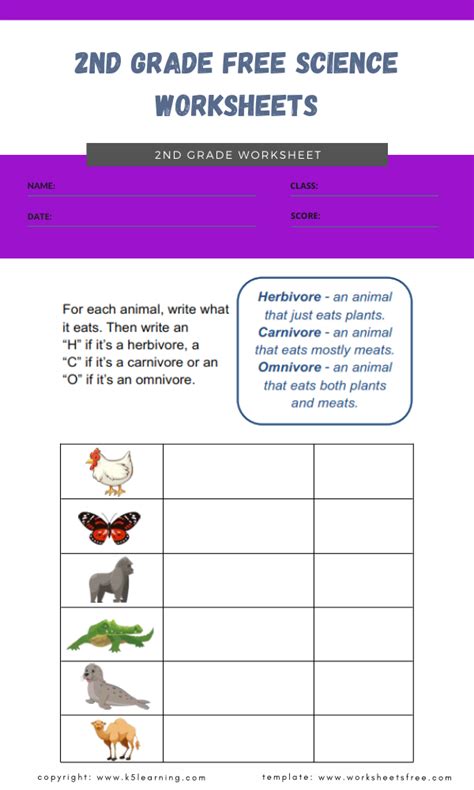 2nd Grade Science Worksheets Mdash Excelguider Com Science Worksheets Grade 2 - Science Worksheets Grade 2