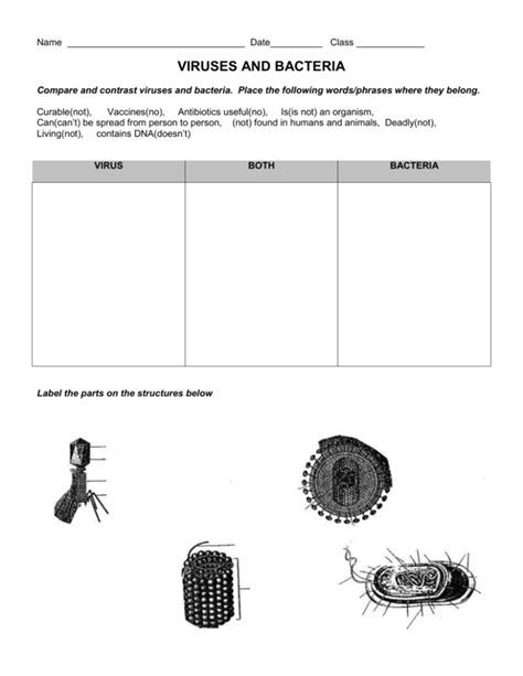 2nd Grade Worksheet Virus   Virus Word Wall Coloring Sheets 8 Pages Digital - 2nd Grade Worksheet Virus