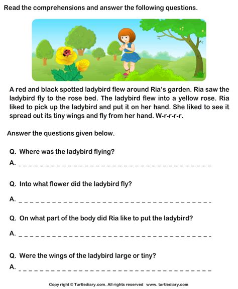 2nd Grade Worksheets Turtle Diary Second Grade Sentence Worksheets - Second Grade Sentence Worksheets