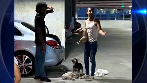 2nd man seen helping other man carrying dead puppies in Fort Lauderdale parking garage speaks out