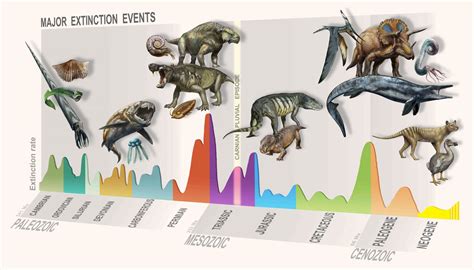 There have been five unusually large extinction events in Earth’s history. Each one is known by a conspicuous decline in biodiversity that appears in the fossil record lasting up to tens of millions of years afterward. With the onset of each mass extinction event, the relatively sudden loss of vast numbers of species greatly simplified many of …. 