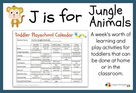 Full Download 2Nd Grade Lesson Plans For Jungle 