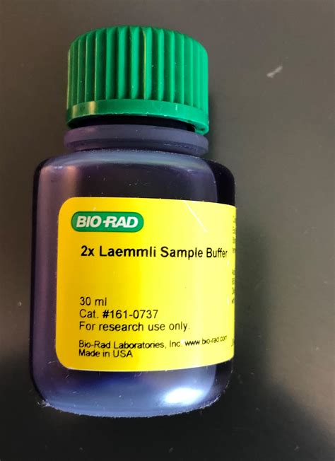 2x Laemmli Sample Buffer 4x Laemmli Bio Rad