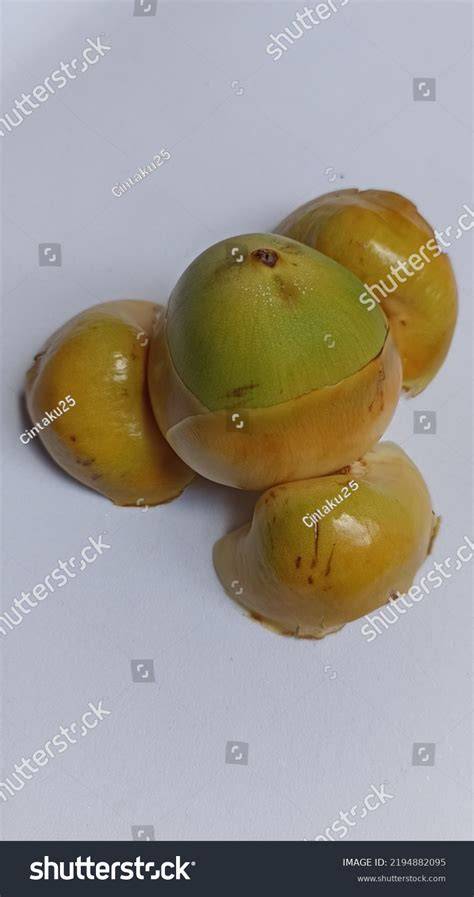 3,173 Young Coconuts Stock Photos - Dreamstime - raincitystudios.com