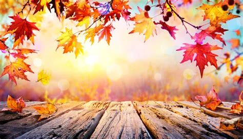 3,784,296 Fall Background Stock Photos and Images - 123RF