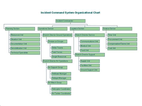3+ ICS Organizational Chart Free Download