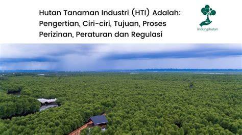 3 Aplikasi Drone untuk Hutan Tanaman Industri di Indonesia - raincitystudios.com