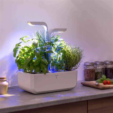 3 Best Indoor Herb Garden Kits - The Latest Garden … - raincitystudios.com