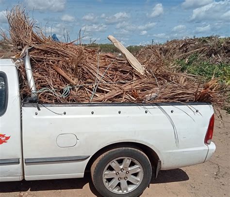 3 Best Rubbish Removal in Darwin, NT - ThreeBestRated