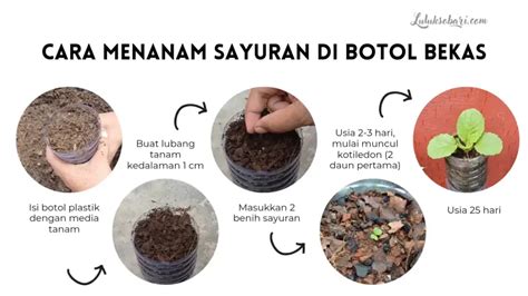3 Cara untuk Menanam Benih - wikiHow - raincitystudios.com