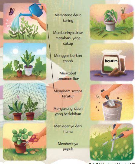 3 Cara untuk Merawat Tanaman - wikiHow - raincitystudios.com