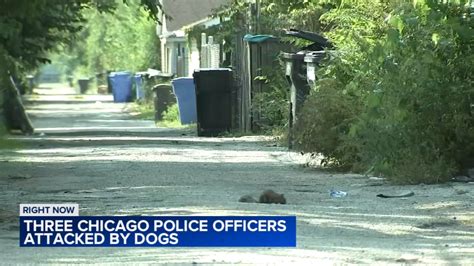3 CPD officers hospitalized after dog attack in West Garfield Park