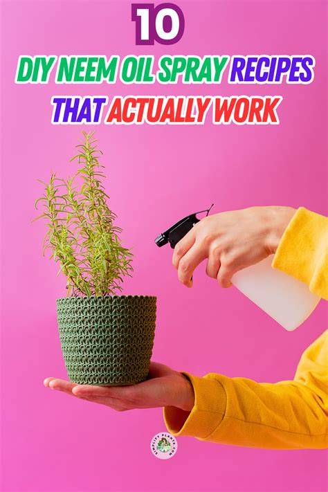 3 DIY Neem Oil Recipes For Plants - BackyardBoss - raincitystudios.com