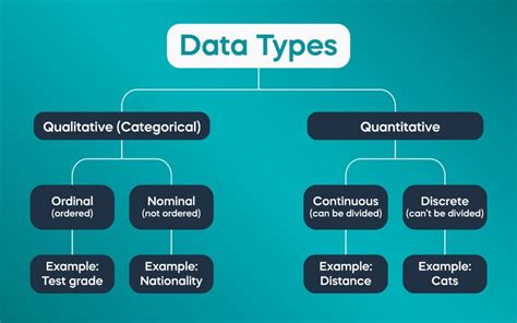 3 food-related datasets & ideas for analyzing them - coolestguyplanet.net