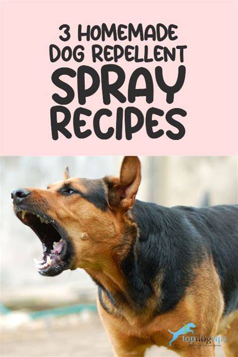 3 Homemade Dog Repellent Spray Recipes - Top Dog … - raincitystudios.com