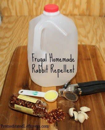 3 Homemade Rabbit Repellents (Easy & Effective … - raincitystudios.com