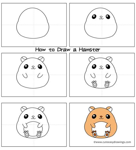 3 How To Draw A Cute Hamster Step By Step Designs & Graphics