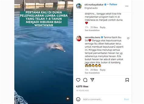 3 Lumba-lumba Dilepasliarkan di Laut Bali; Namanya … - raincitystudios.com