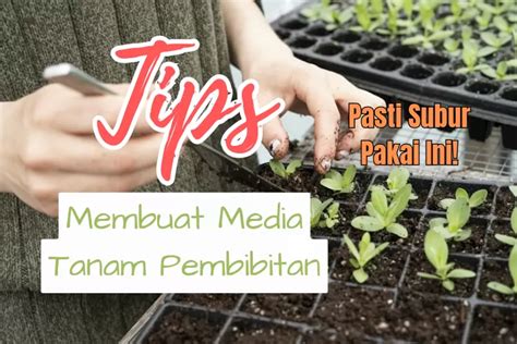 3 Langkah Mudah Membuat Media Tanam yang Subur