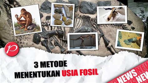 3 Metode Menentukan Usia Fosil - wintechmobiles.com