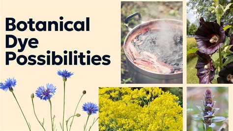 3 plants for natural dye and how to use them - Homes … - raincitystudios.com