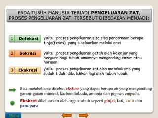 3 Proses Pengeluaran Zat pada Manusia - raincitystudios.com