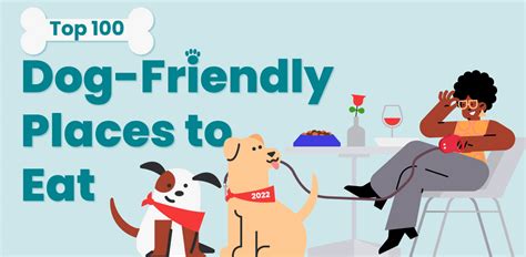 3 San Diego-area spots among top 100 dog-friendly places to eat in US: Yelp