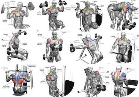 3 Shoulder Training Tips and 5 Exercises