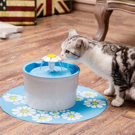 3 Small Cat Water Fountains of 2024 - Cats Fountains