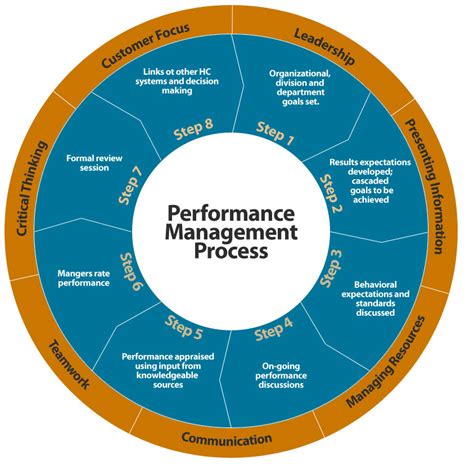 3 Stages of Performance Management Cycle