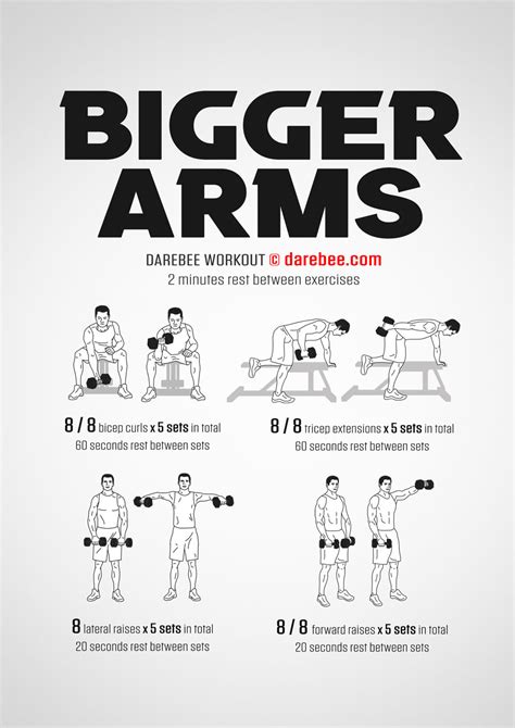 3 Total Body Programs for Big Arms