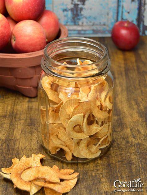 3 Ways to Dehydrate Apples for Food Storage - Grow a … - raincitystudios.com