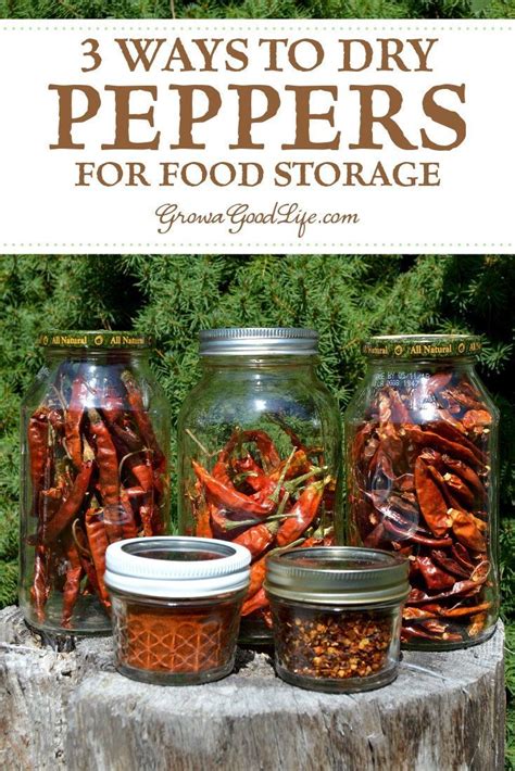 3 Ways to Dry Peppers for Food Storage - Grow a Good Life - raincitystudios.com