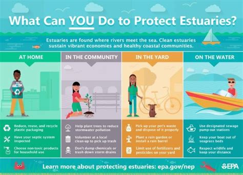 3 Ways to Protect Estuaries - wikiHow - raincitystudios.com