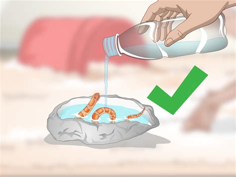 3 Ways to Create a Corn Snake Vivarium - wikiHow