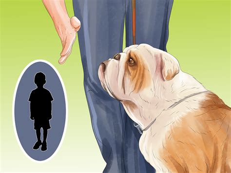 3 Ways to Help a Dog Overcome Its Fear of Children - wikiHow Pet