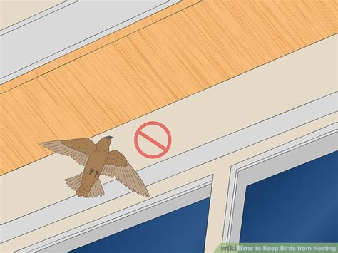 3 Ways to Keep Birds from Nesting - wikiHow