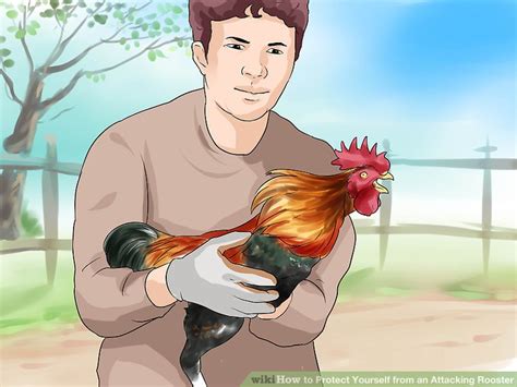 3 Ways to Protect Yourself from an Attacking Rooster - wikiHow