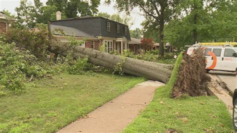 3 big trees felled by 3 different storms in Maryland Heights neighborhood