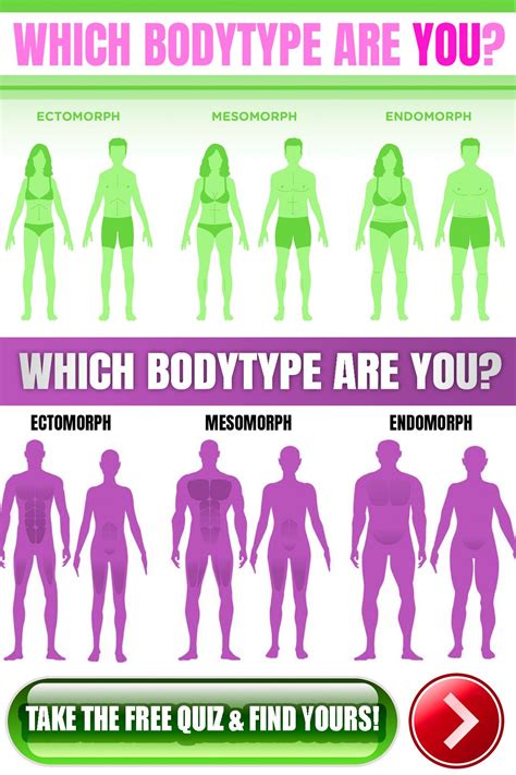 3 body types v shred. For more workouts on how to get big biceps along with a nutrition plan designed for your goals, take my free body type quiz and get the right plan for you - ... 