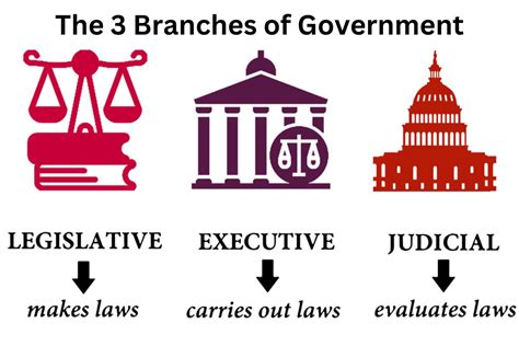 3 branches of government local, state, federal