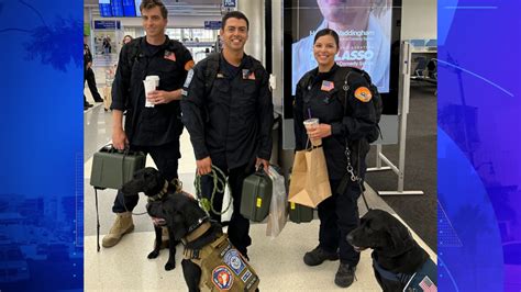 3 canine teams from L.A. County Fire Department leave for Maui to assist with search and rescue efforts 