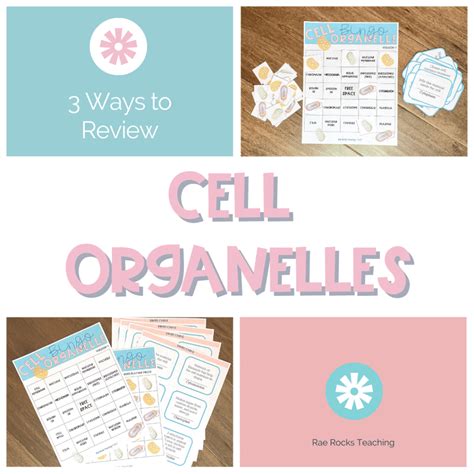3 Cell Organelle Games To Review Rae Rocks Cell Organelles Worksheet High School - Cell Organelles Worksheet High School