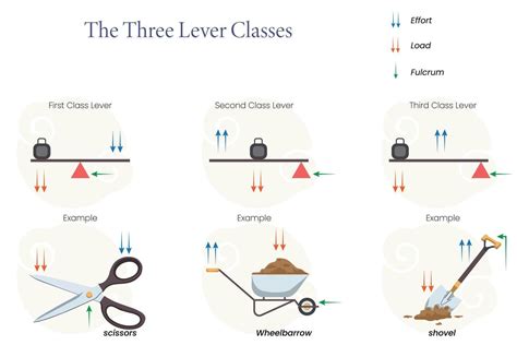 3 Class Of Levers With Examples