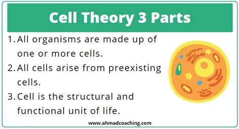 3 Components Of Cell Theory