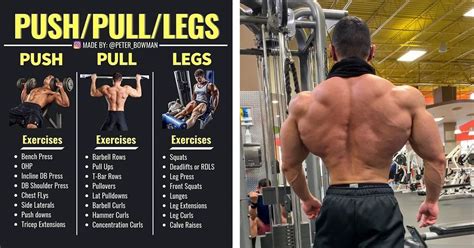 3 Day Push Pull Legs Workout Routine