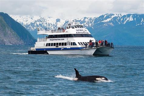 3 days in Alaska before/after cruise - Seward Forum - Tripadvisor